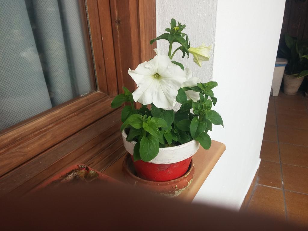 Balcon Del Velillos-"Rincon De Marcelo" Tozar Exterior photo