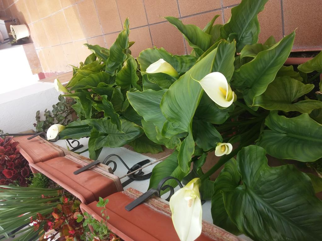 Balcon Del Velillos-"Rincon De Marcelo" Tozar Exterior photo